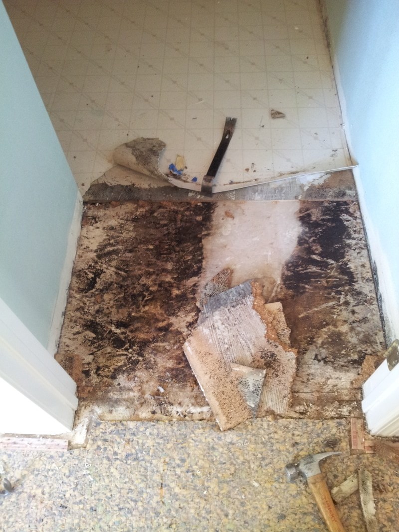 Interior Remodeling & Flooring — portfolio photograph 9