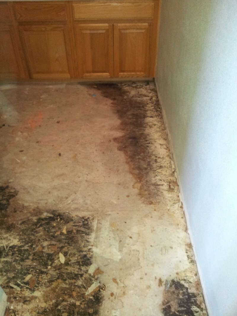Interior Remodeling & Flooring — portfolio photograph 10