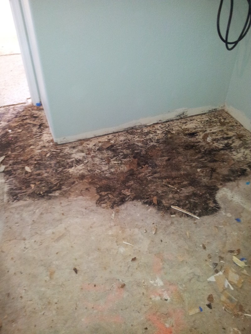 Interior Remodeling & Flooring — portfolio photograph 11